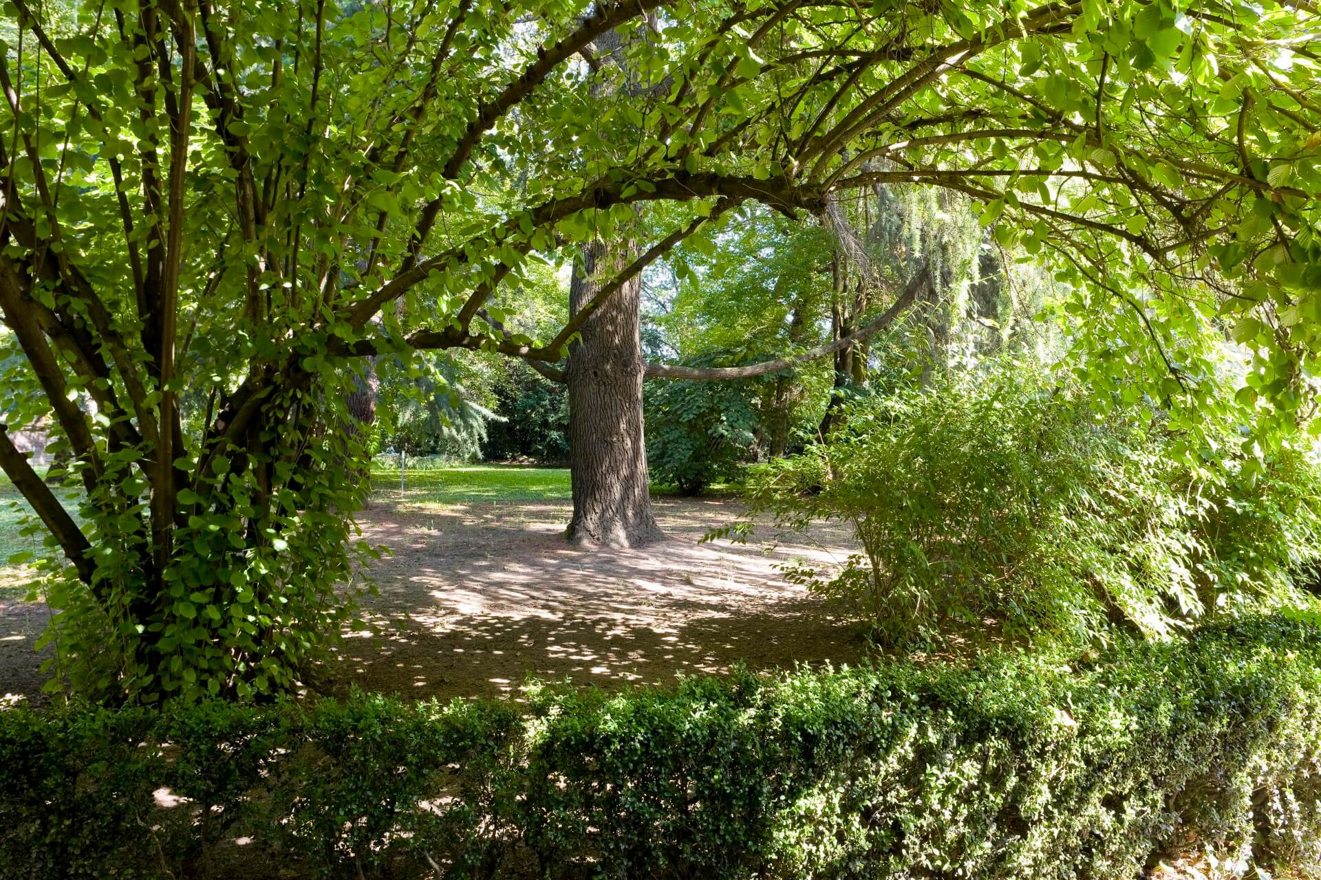 Casa vacanze a Mestre Villa Moro Lin con giardino